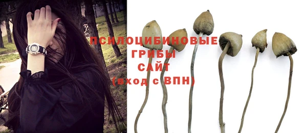 метадон Белокуриха