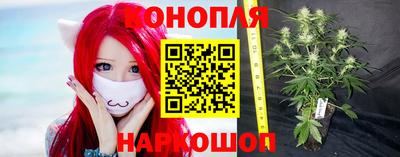 мяу мяу мука Балахна